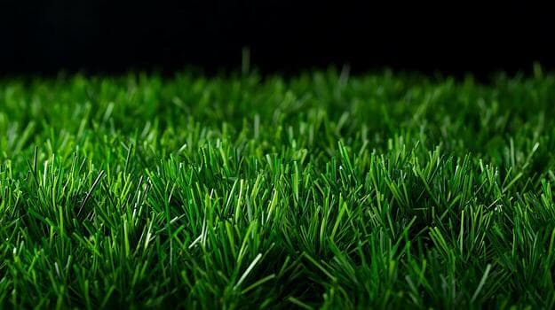 Artificial Grass